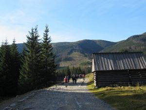 Wycieczka 3e 06
